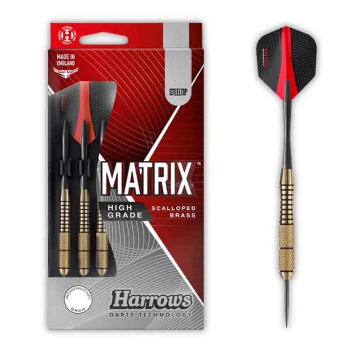 Steeltip Matrix darts